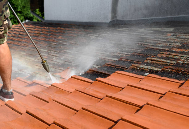 Best Fence Pressure Washing  in Borrego Springs, CA