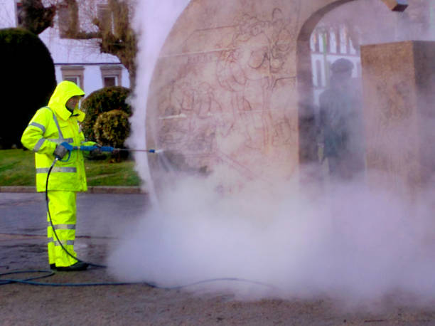 Best House Pressure Washing  in Borrego Springs, CA